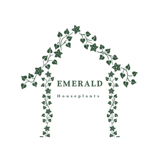 Emerald Houseplants